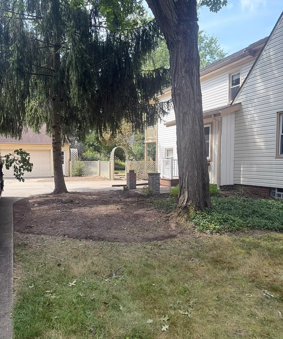 Case Ave, Lyndhurst — Photo 2