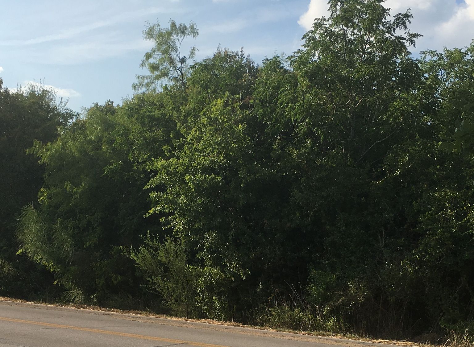 13148 Iron Horse Way, Helotes, TX 78023 Zillow