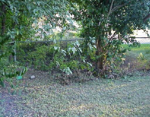 4th image of 817-19 ZACHRY