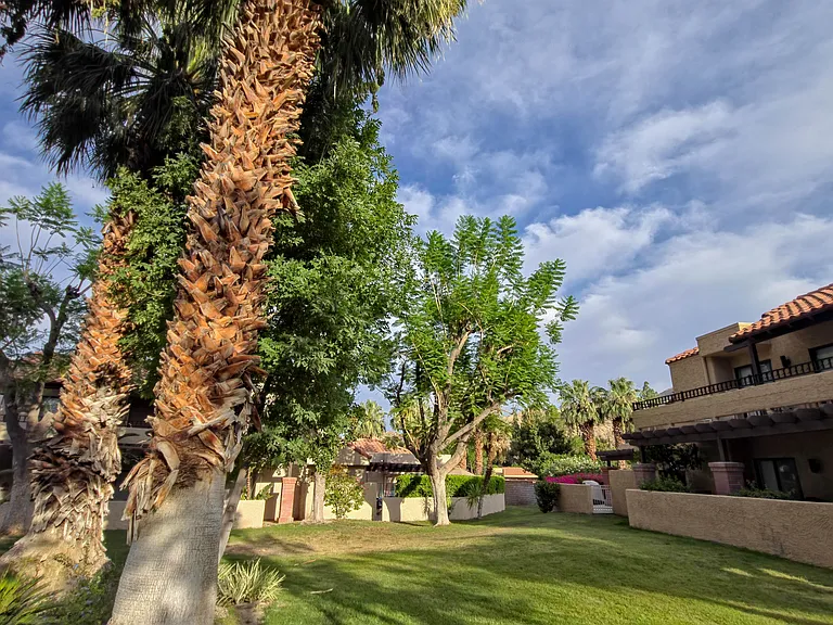 Community back yard area.