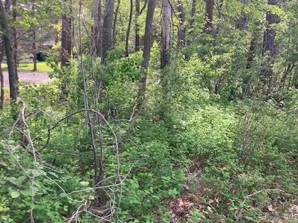 LOT 3 N Pinewood Dr, Pequot Lakes, MN 56472