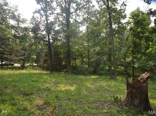 0 McKinney Chapel Rd, Marion, IL 62959