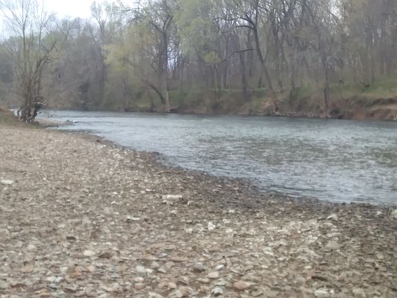 Bass and Catfish live here!