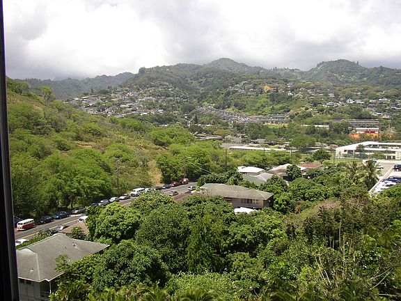 View from living room