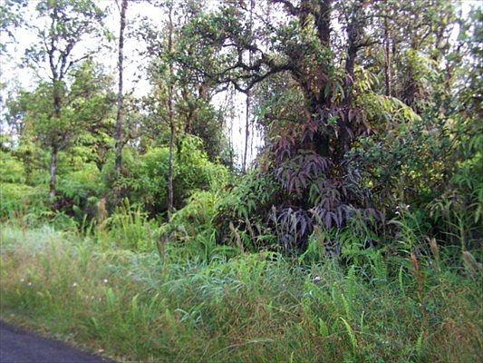 2nd image of 11-2984 Pikake St Lot 7832