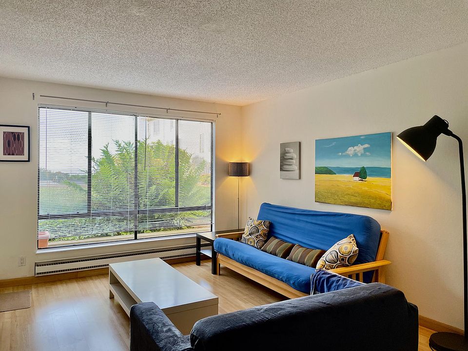 Living Room Futon for guest use