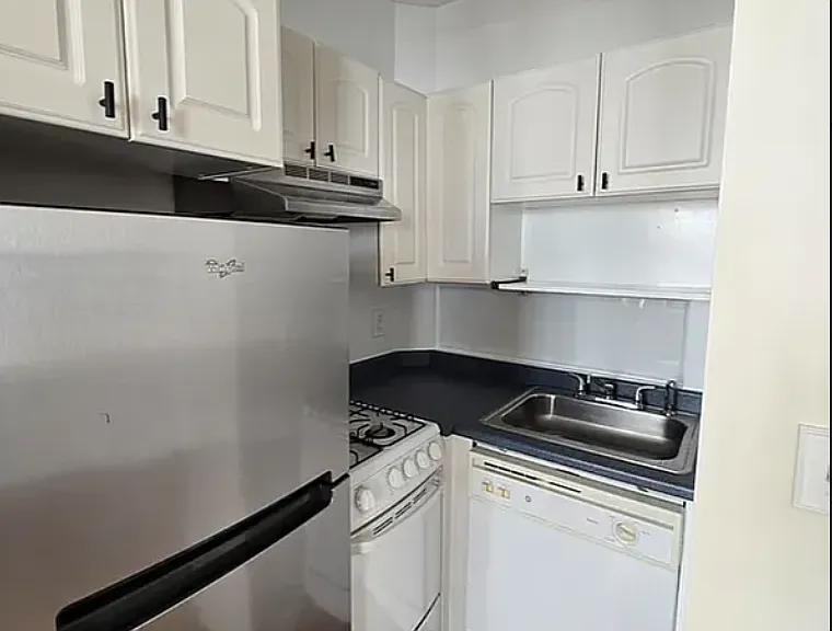 438 E 66th St #2 — Photo 2
