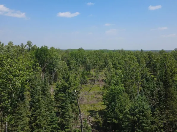 X Oleskie Trl, West Branch, MI 48661