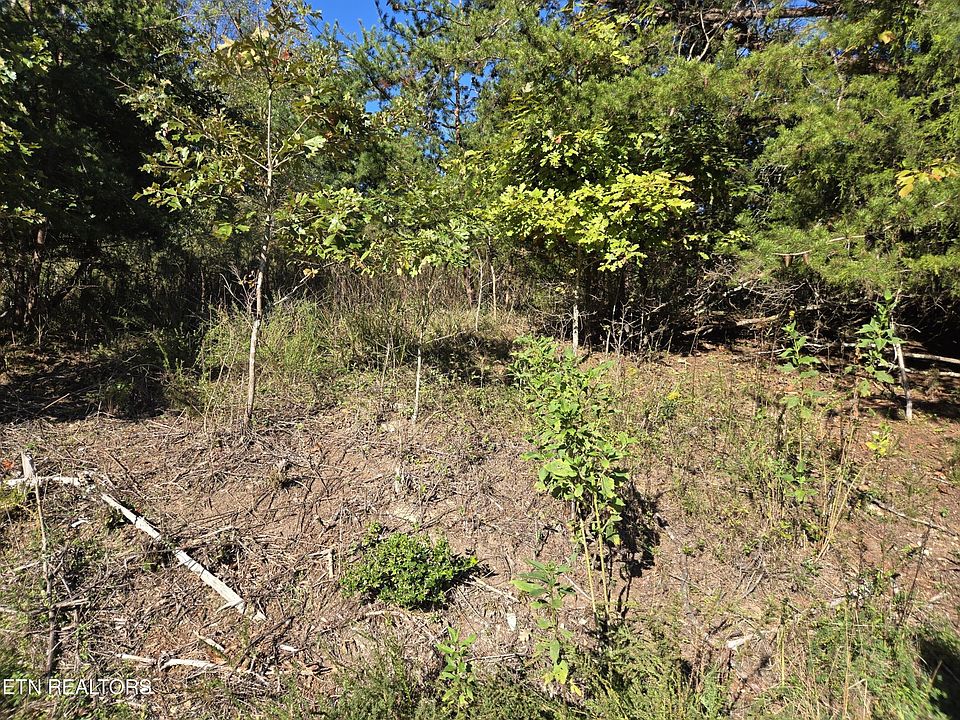 2nd image of 0 Pinoak Dr Lot 48