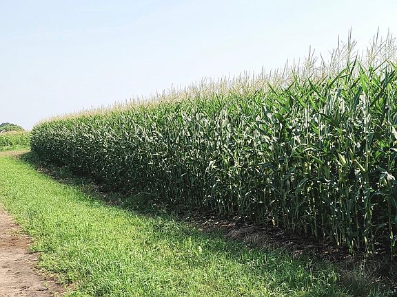 3rd image of County Road 36