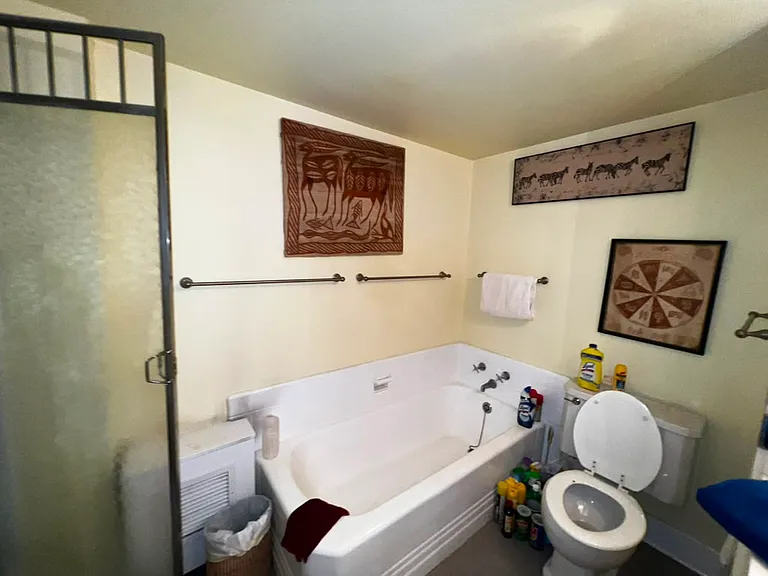 41 W 58th St #9D — Photo 7