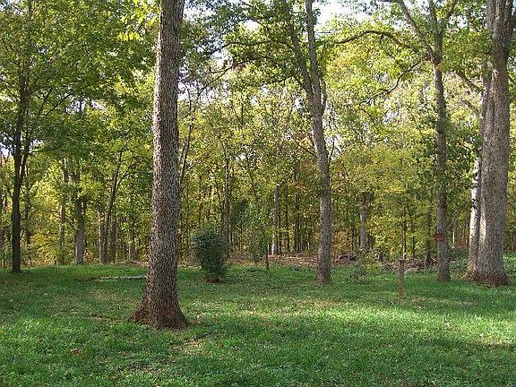 Deep, wood backyard on 2.3 acres! 