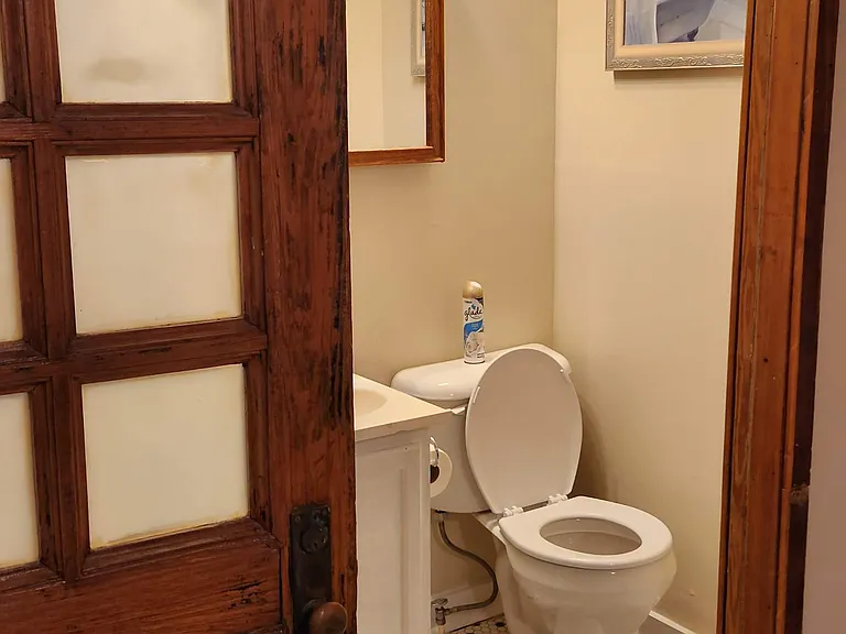 224 Greene St — Photo 14
