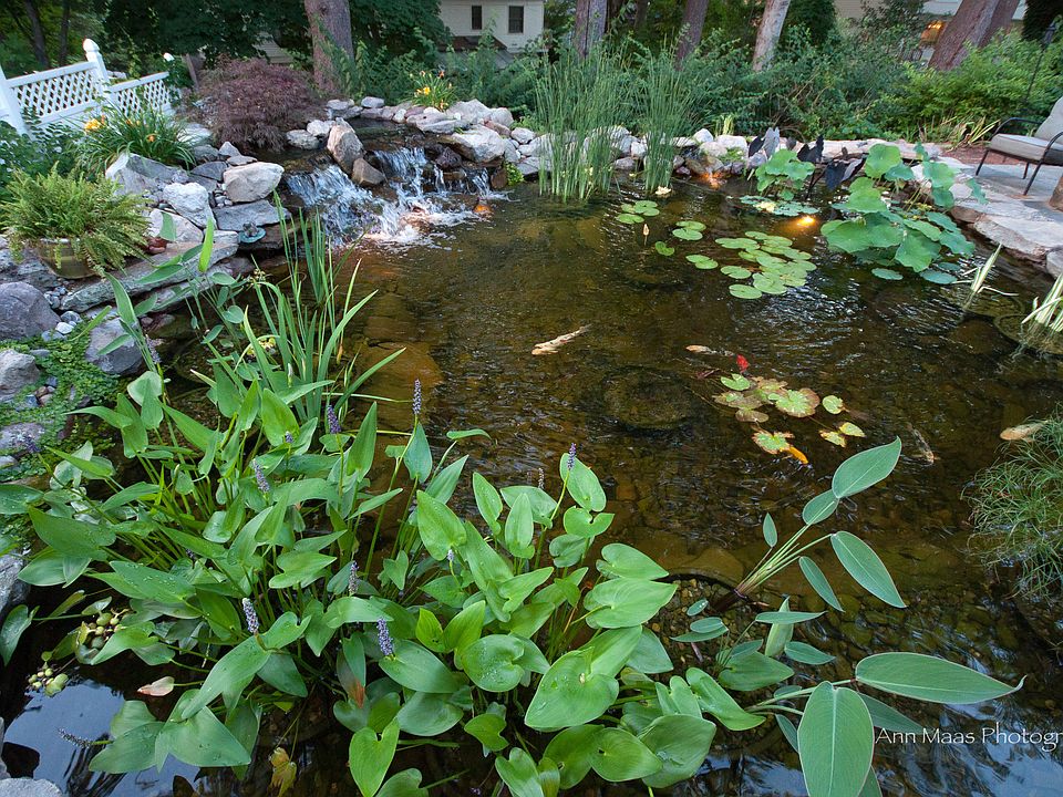Backyard Pond and Waterfall