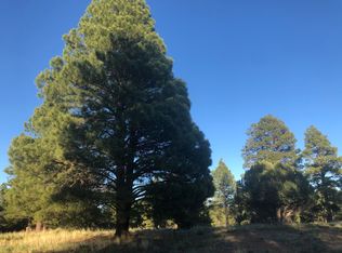 119 N Lake Hills Dr, Flagstaff, AZ 86004