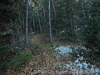 5th image of 504 Pinion Pine Cir #5