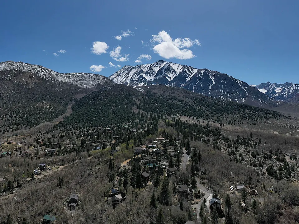 Juniper Dr