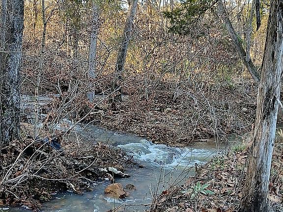 Part of creek