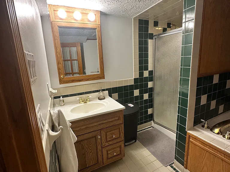 Basement bathroom. Shower, toilet, sink, and jacuzzi tub.