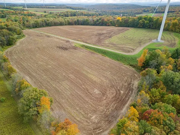 0 Downey Rd, Rexville, NY 14877