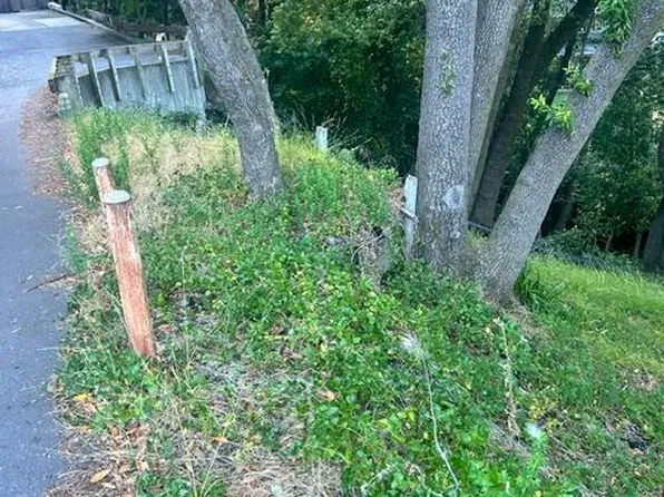 146 Allyn Avenue, San Anselmo, CA 94960