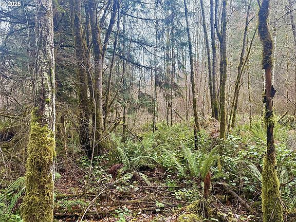 4th image of 298 Boone Rd