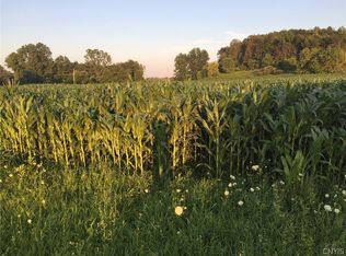 1 N Hamilton St LOT 1, Jordan, NY 13080