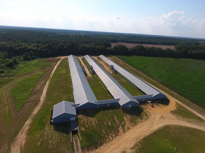 Poultry Breeder Houses, Equipment Room, Egg Packing Room, Egg Cooler Room