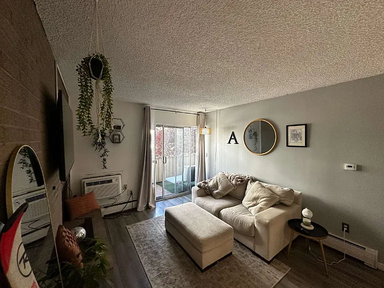 4110 E Hale Pkwy #2C — Photo 5
