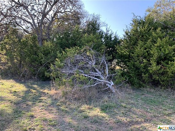 2nd image of 498 Twin Elm Dr