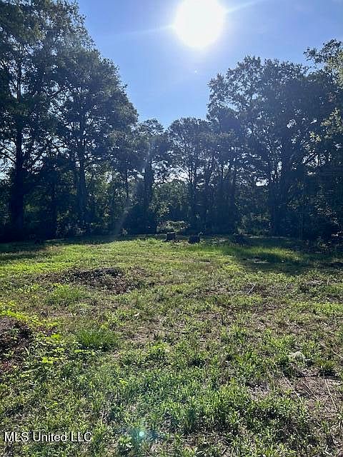 2nd image of 4528 Hanging Moss Rd