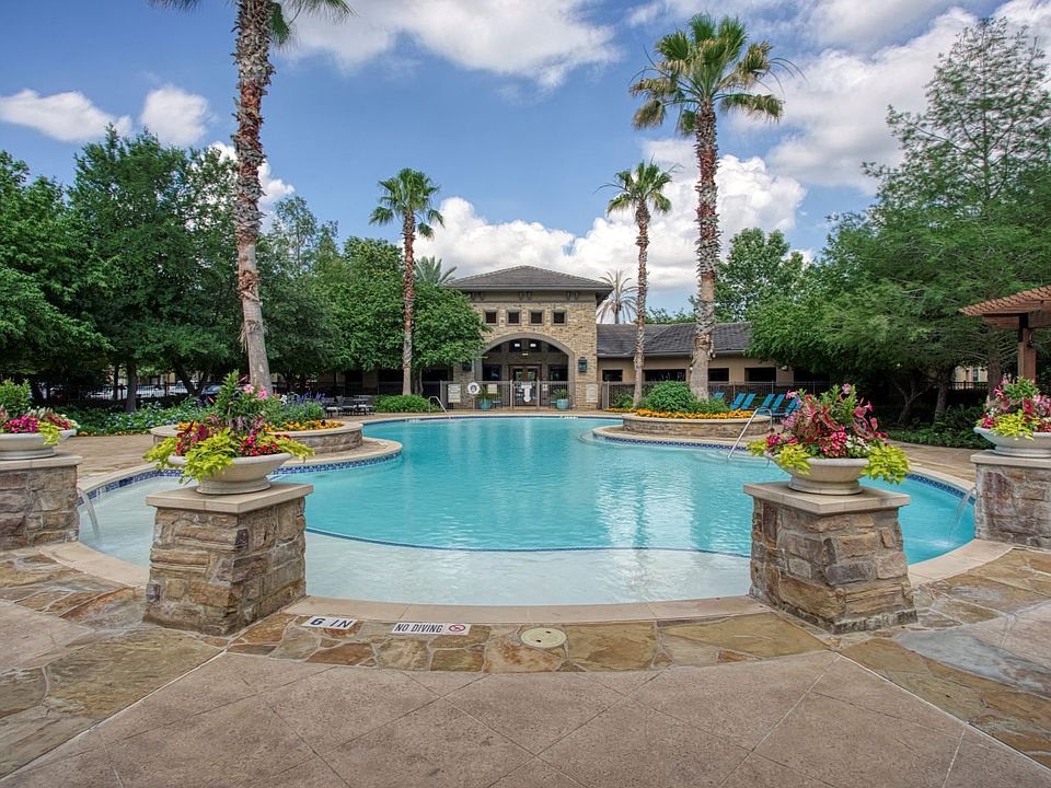 Palomino Pool Area
