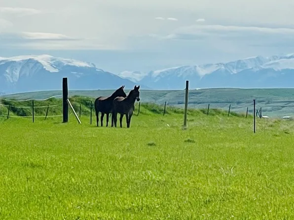 91 Icon Ave, Roberts, MT 59070