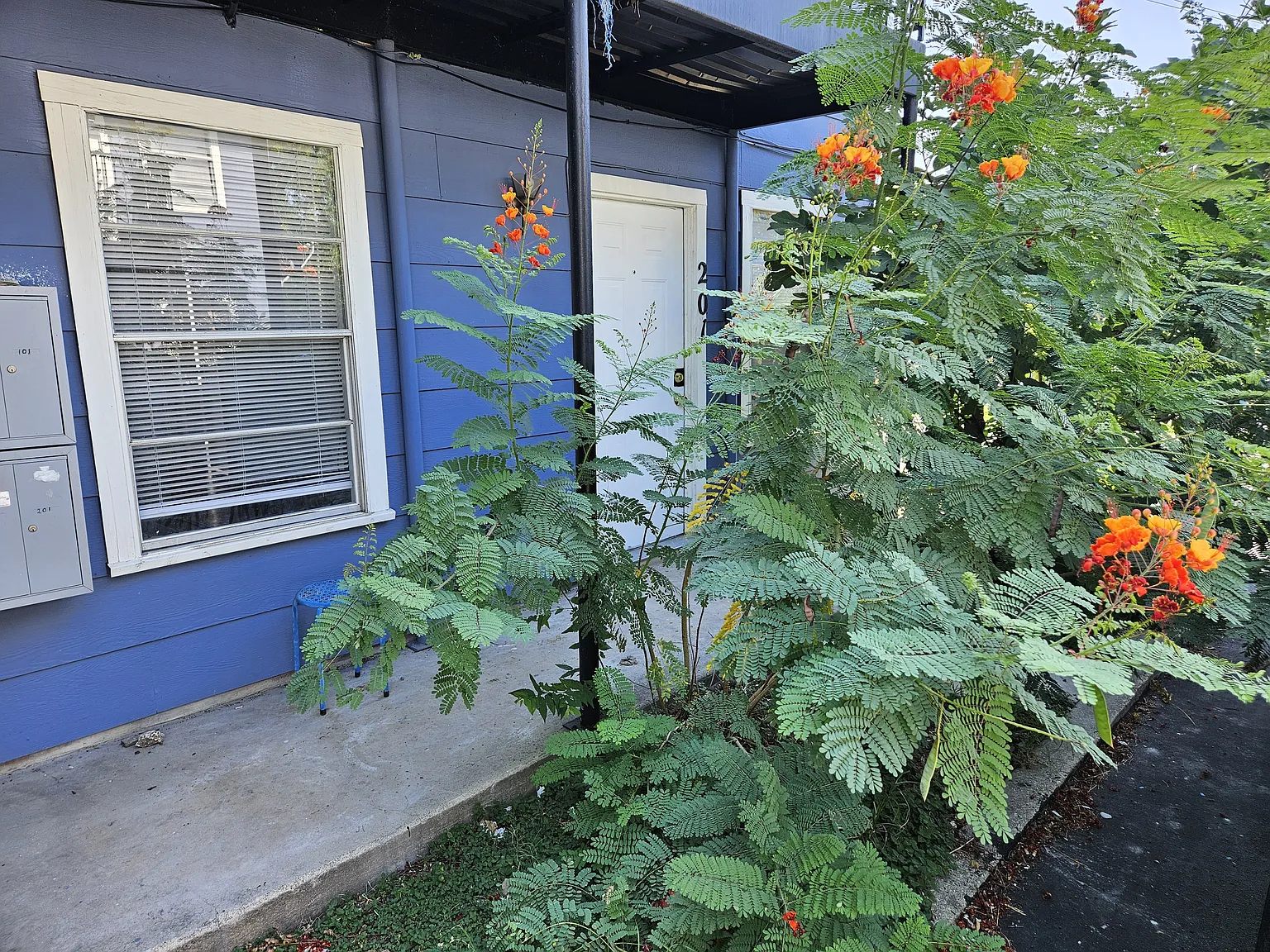 2 bed, 700 sqft, $925 — Photo 3