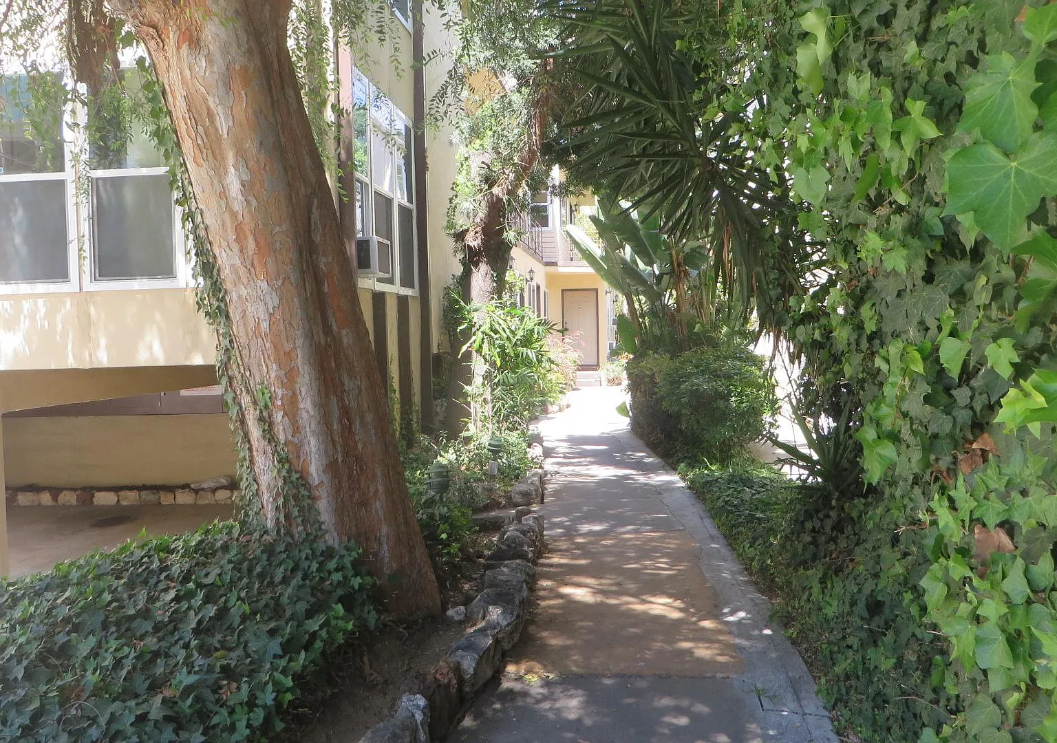 Studio, $1,950 — Photo 1
