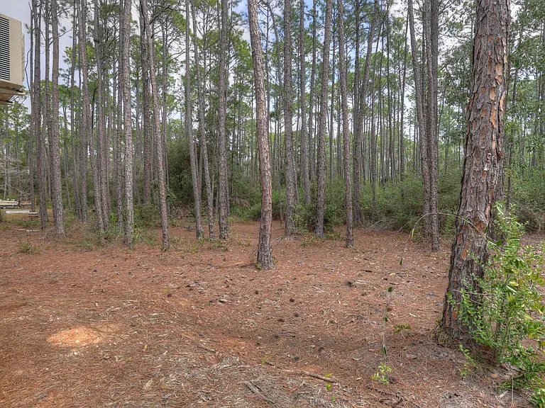 14588 Scenic Highway 98 — Photo 9