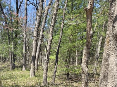 V/l W Coolidge St, Bitely, MI, 49309