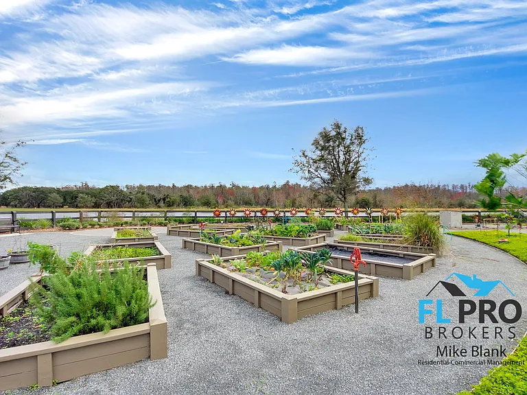 8161 Laureate Blvd — Photo 37