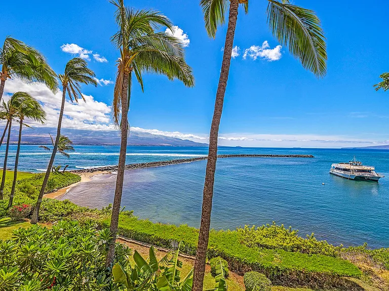 30 Hauoli St #310 — Photo 33