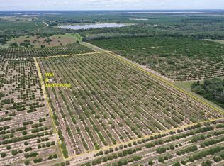 2207 E Oak Island Rd, Avon Park, FL 33825