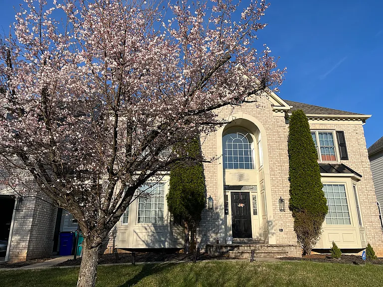 9909 Bald Cypress Dr — Photo 1