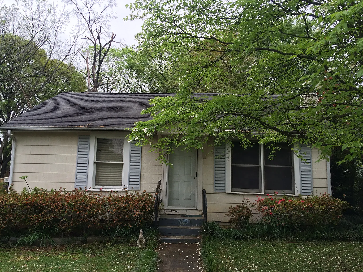 3 bed, 920 sqft, $1,500 — Photo 3