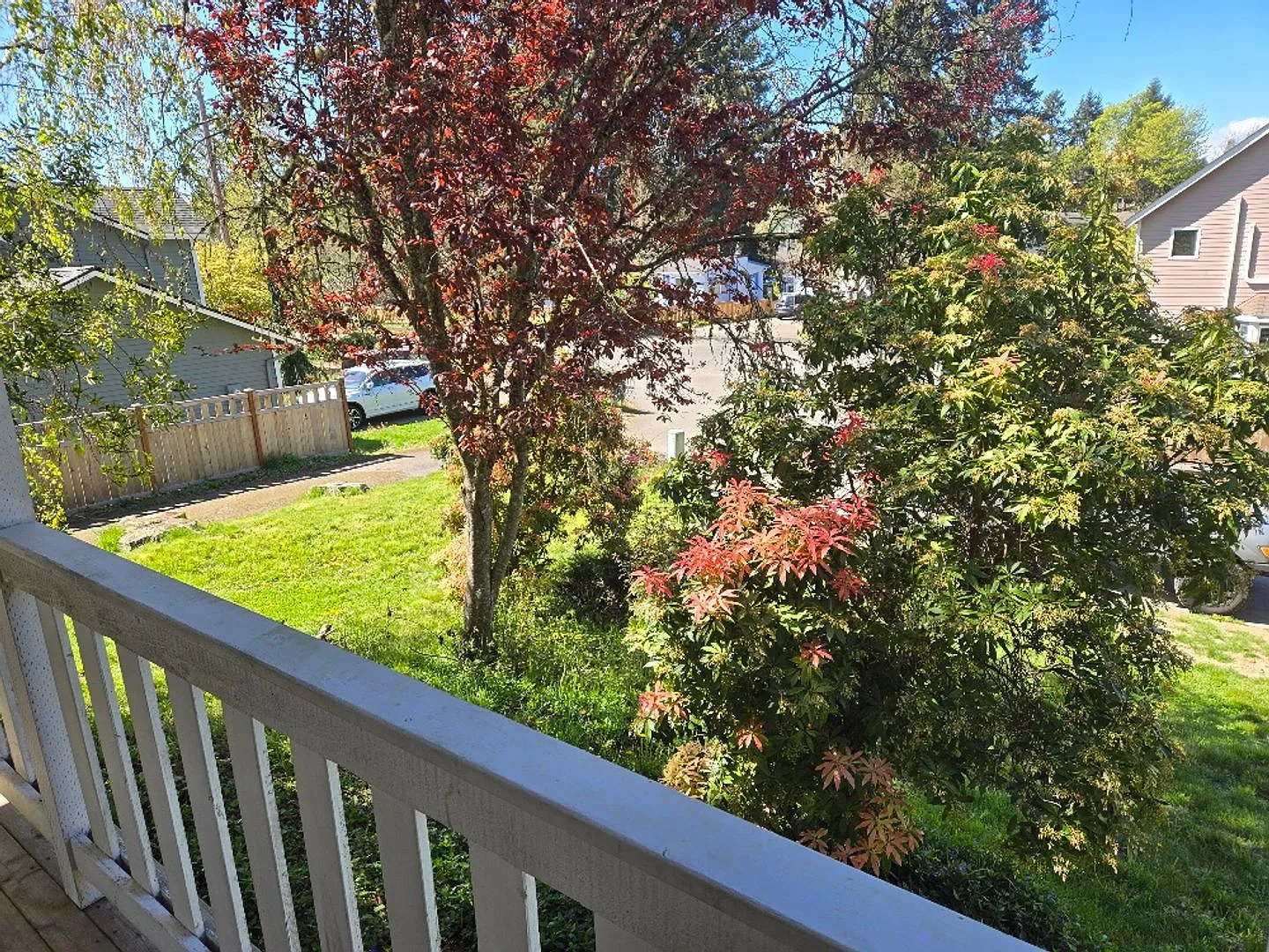 3 Bedroom Duplex in Convenient Kingston Location! — Photo 4