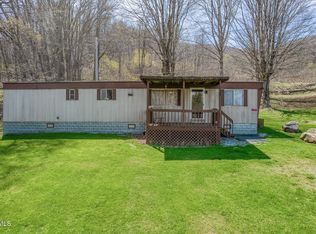 111 Hughes Hollow Rd, Roan Mountain, TN 37687