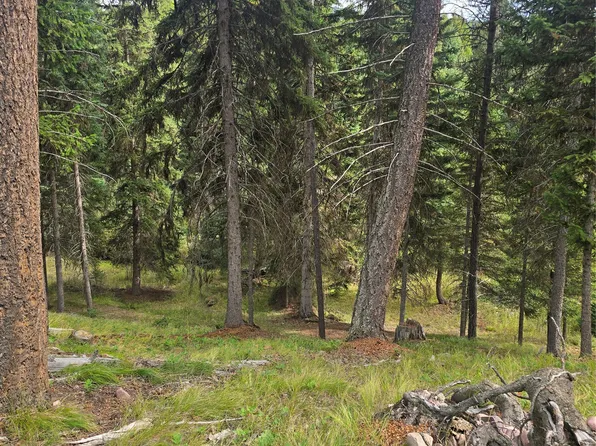 125 Moose Ln, Seeley Lake, MT 59868