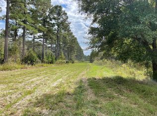 250 Edwin Rd, Salters, SC 29590