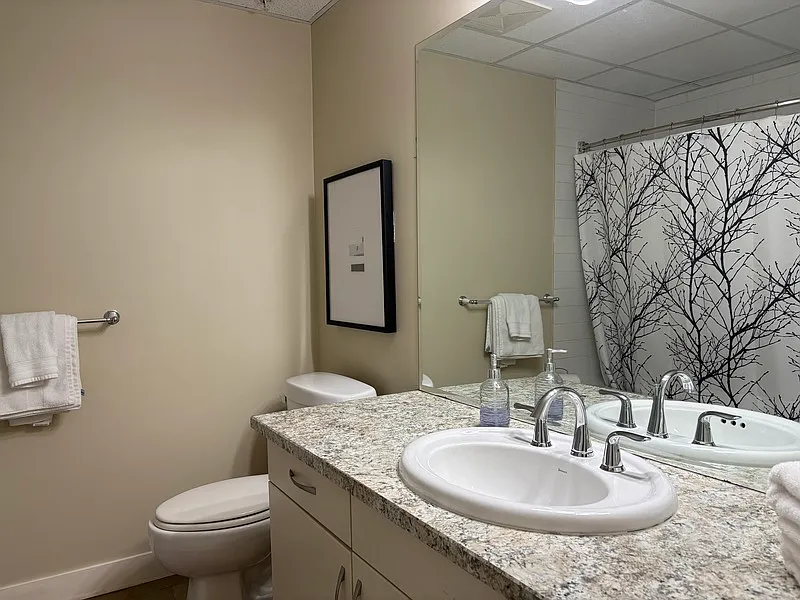 3 bed, 3.0 bath, 1400 sqft, $2,700 — Photo 2