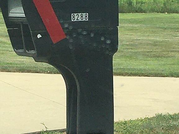 8288 on ADJACENT property 