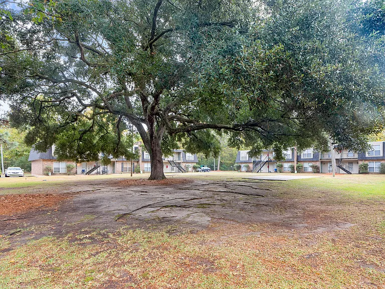 Saraland Portfolio — Photo 42