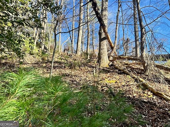 2nd image of 0 Corinth Church Rd